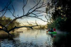 Parys Kayak Sales Fluid Chumani